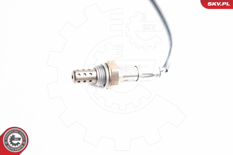 Oxygen Sensor 09SKV096