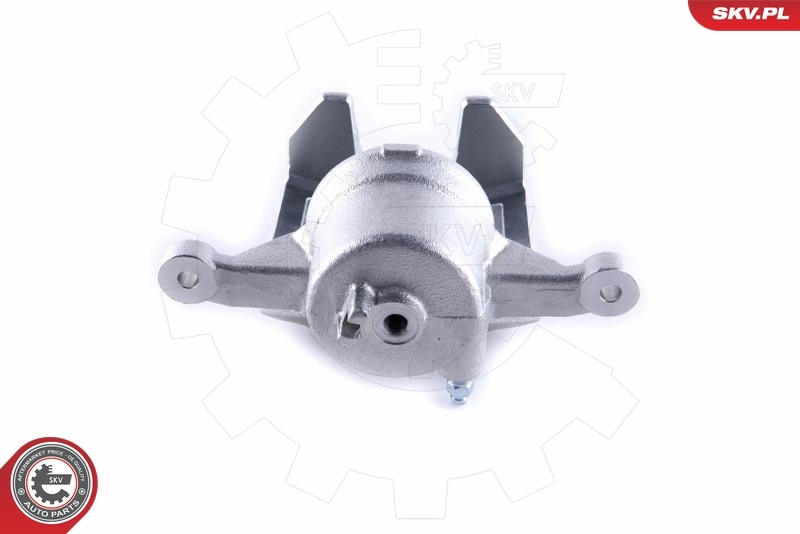 Brake Caliper 55SKV271