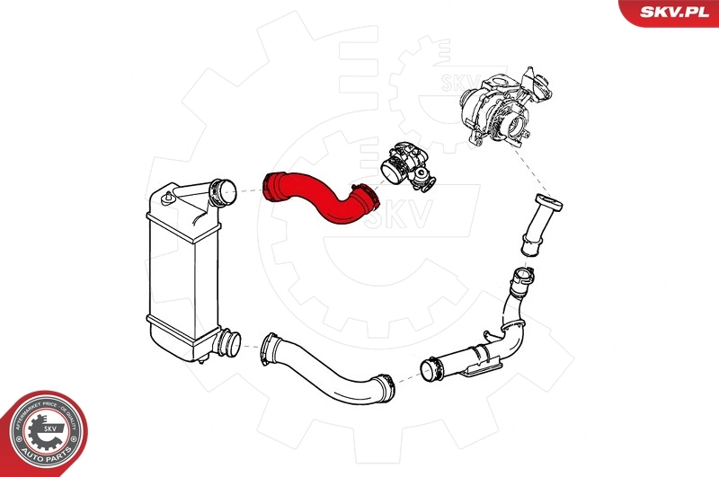 Charge Air Hose 24SKV829