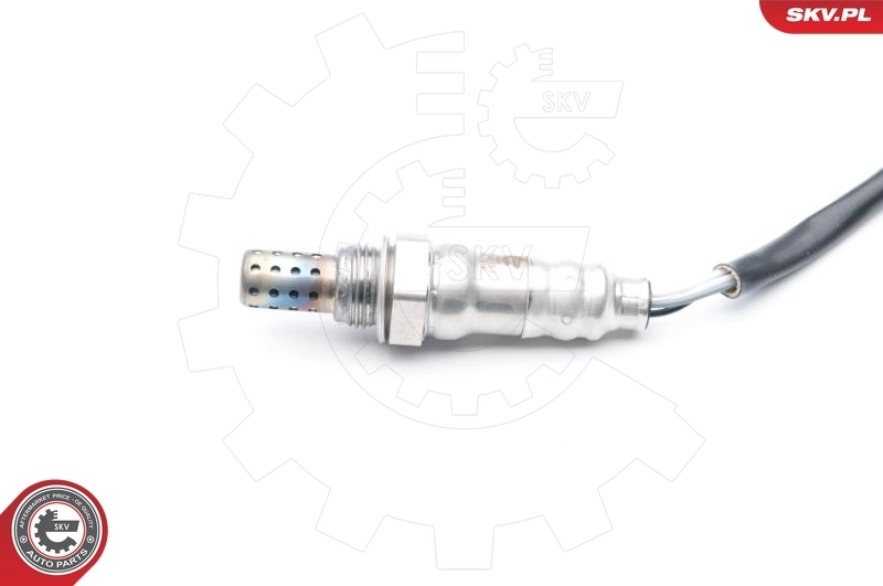 Oxygen Sensor 09SKV751