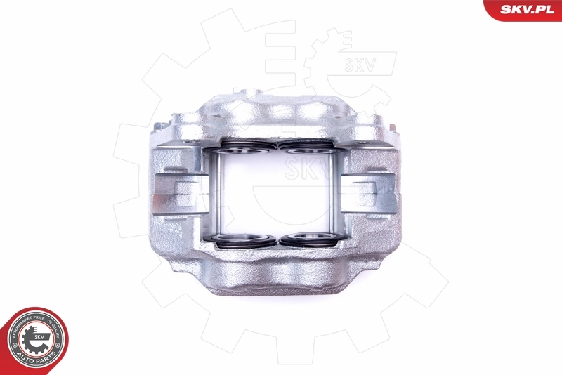 Brake Caliper 42SKV832