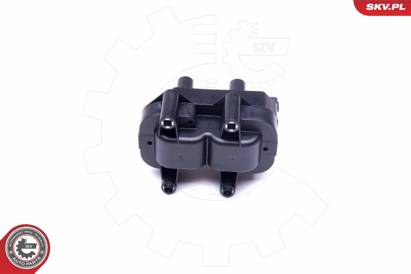Ignition Coil 03SKV299