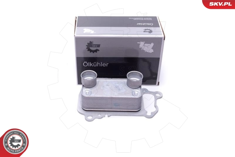 Oil Cooler, engine oil 31SKV225