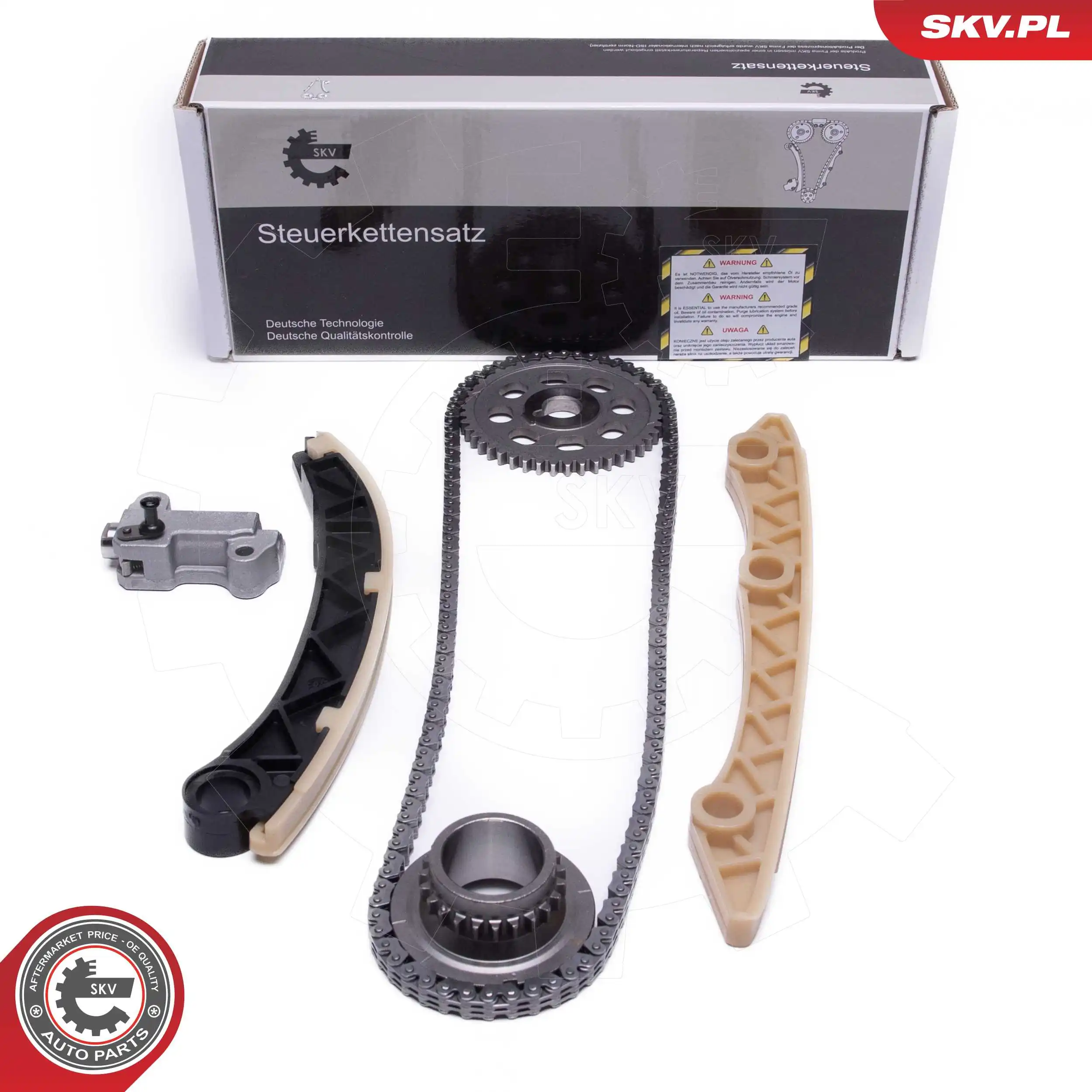 Timing Chain Kit 21SKV253