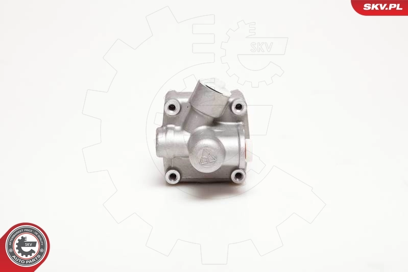 Hydraulic Pump, steering 10SKV087