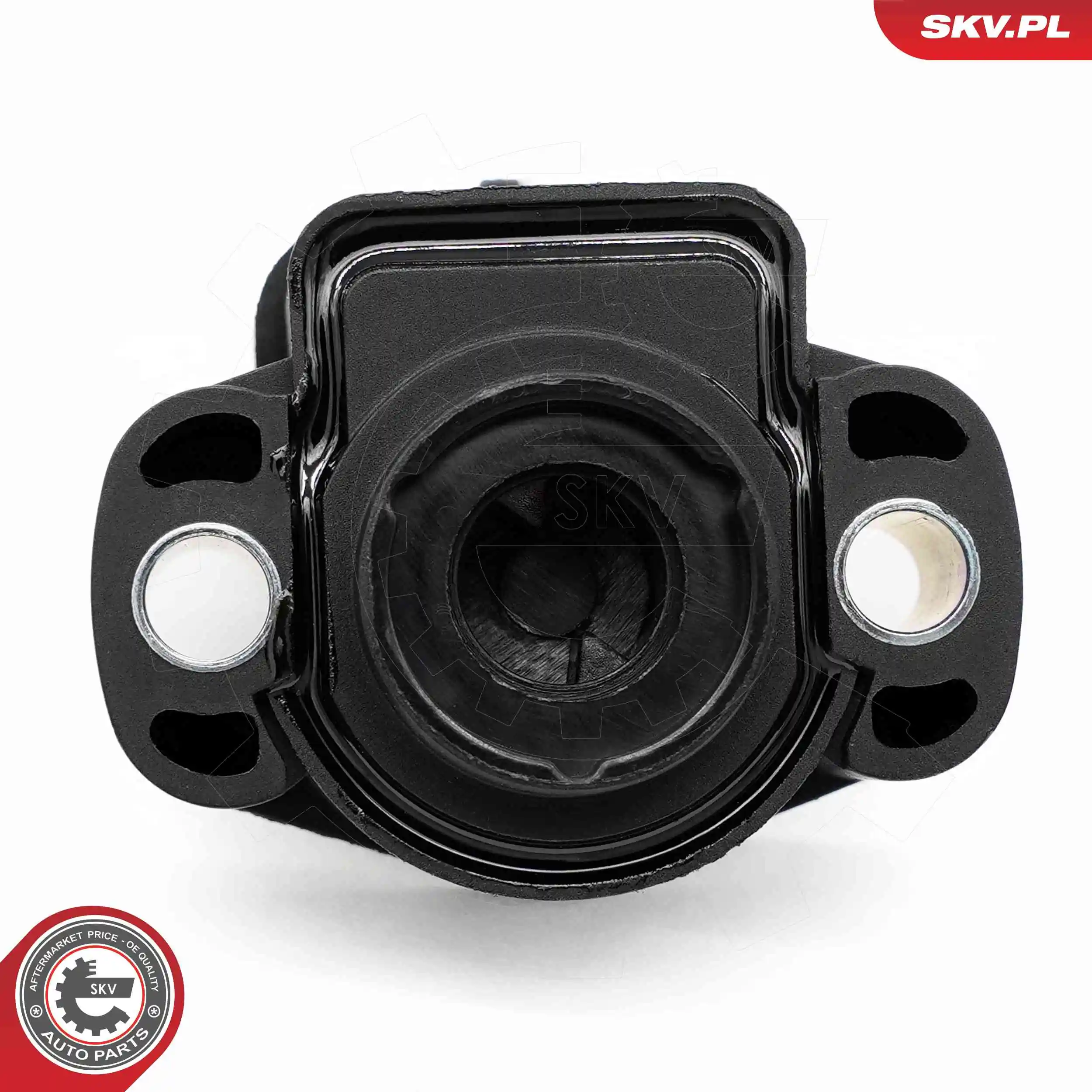 Sensor, throttle position 17SKV832