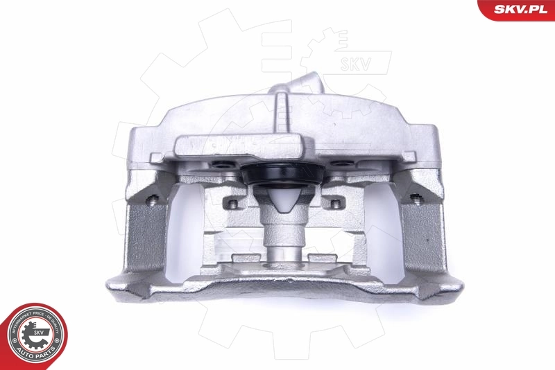Brake Caliper 55SKV782