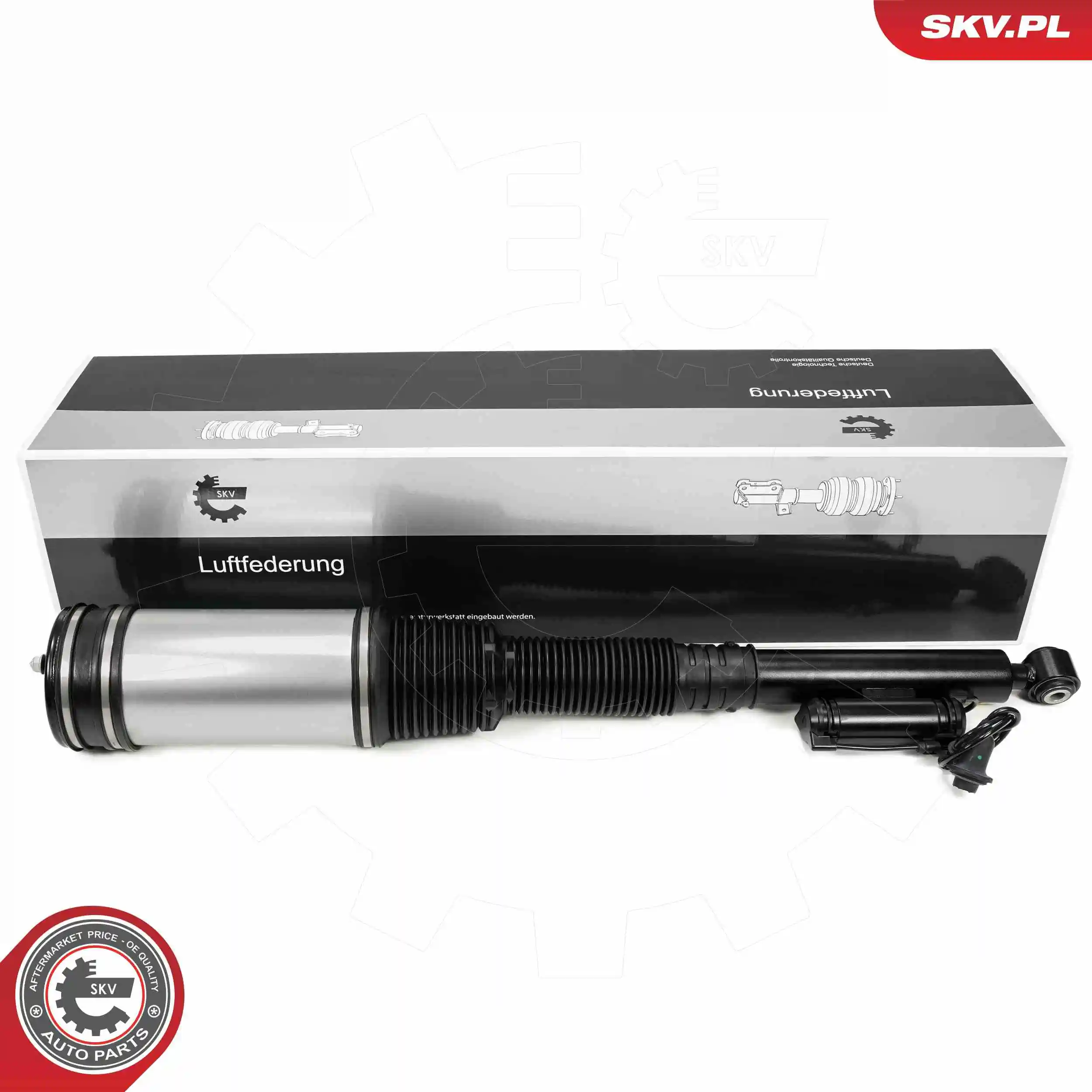 Air Suspension Strut 58SKV719