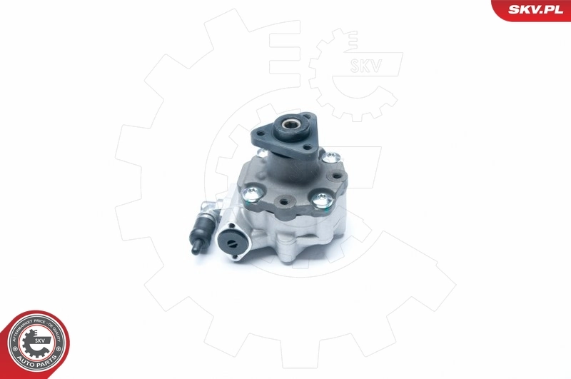 Hydraulic Pump, steering 10SKV186