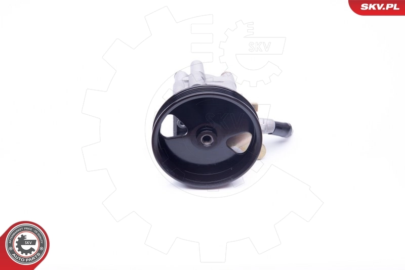 Hydraulic Pump, steering 10SKV276