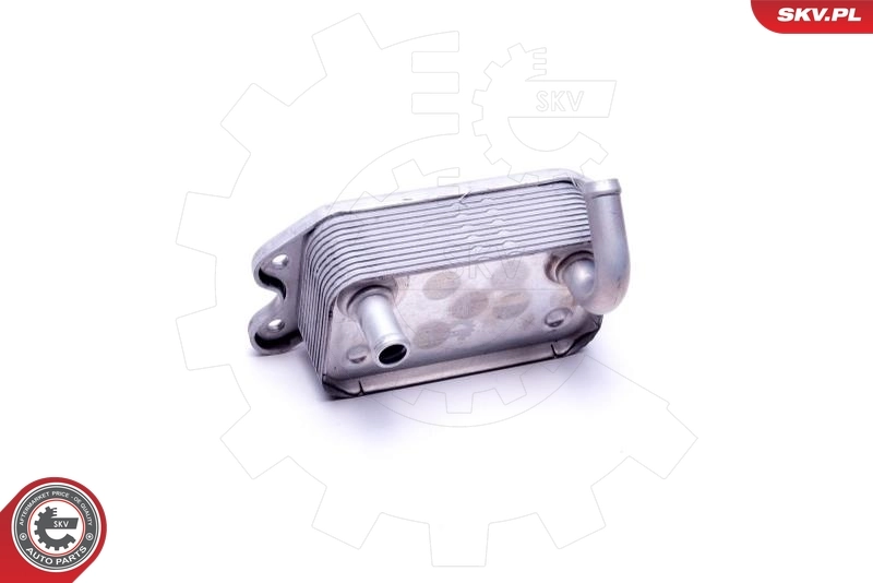 Oil Cooler, engine oil 31SKV227