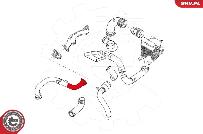 Charge Air Hose 24SKV964