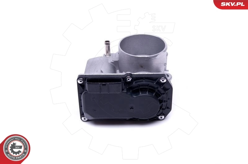 Throttle Body 12SKV089