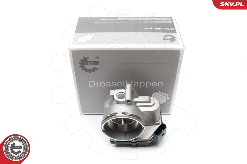 Throttle Body 12SKV044