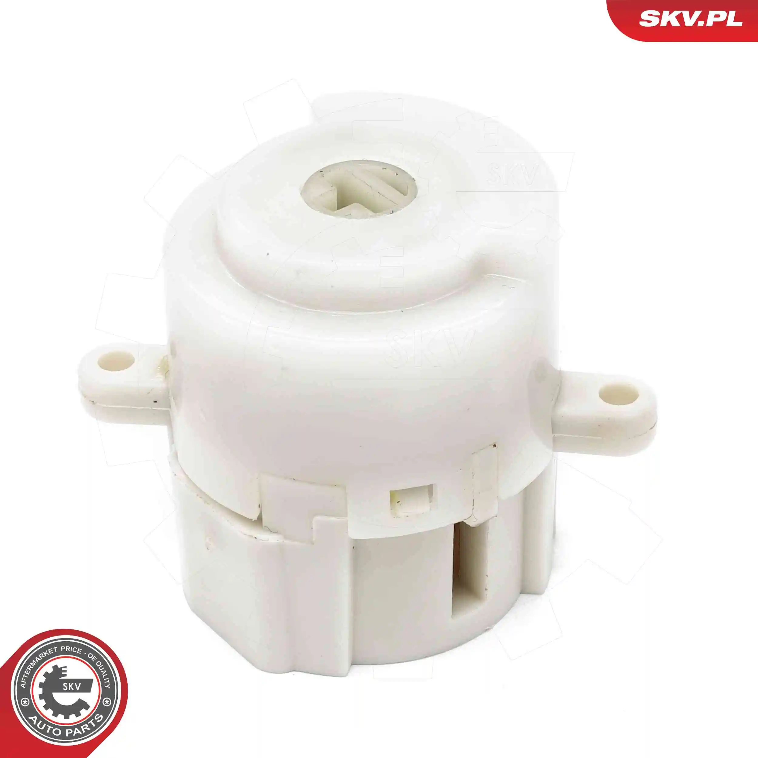 Ignition Switch 65SKV037