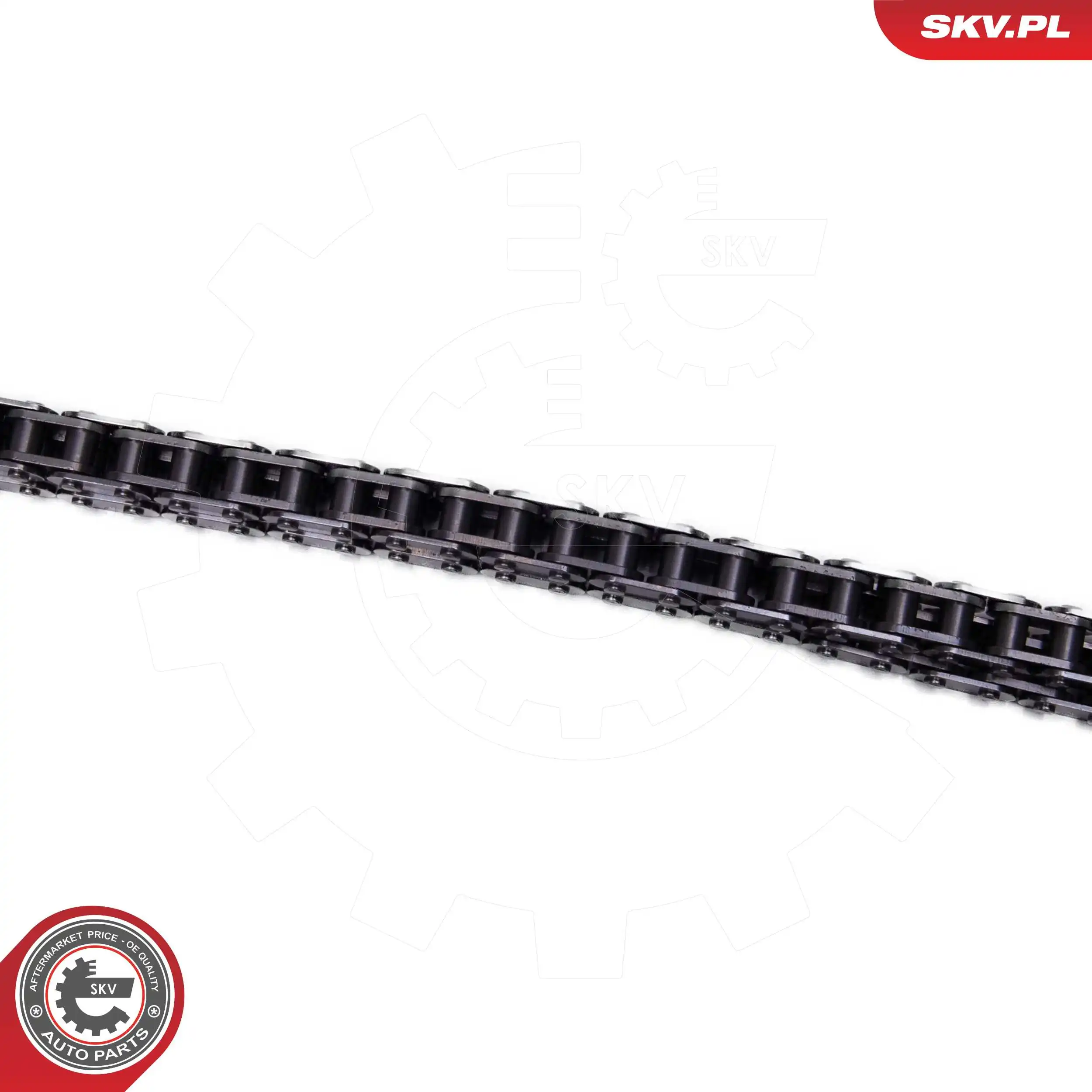 Timing Chain Kit 21SKV263