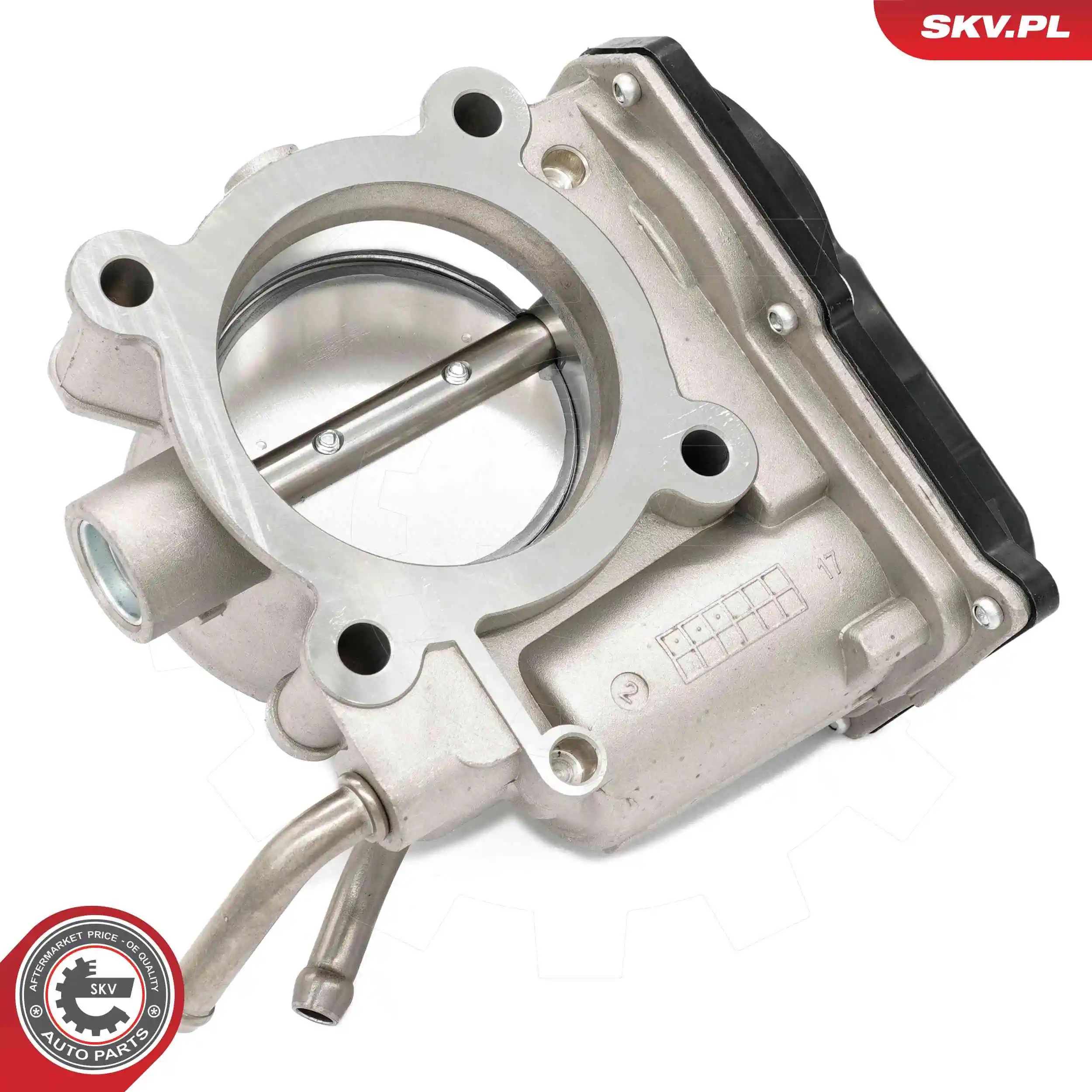 ESEN SKV 12SKV138 Throttle Body