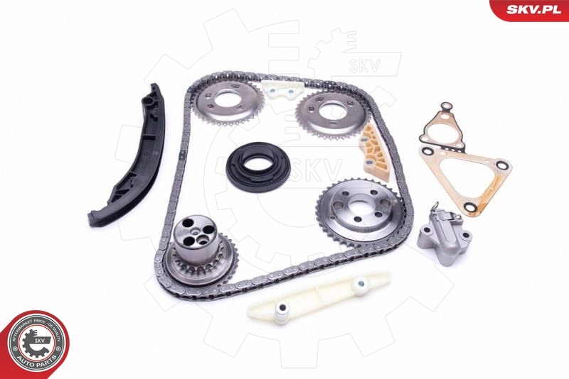Timing Chain Kit 21SKV123