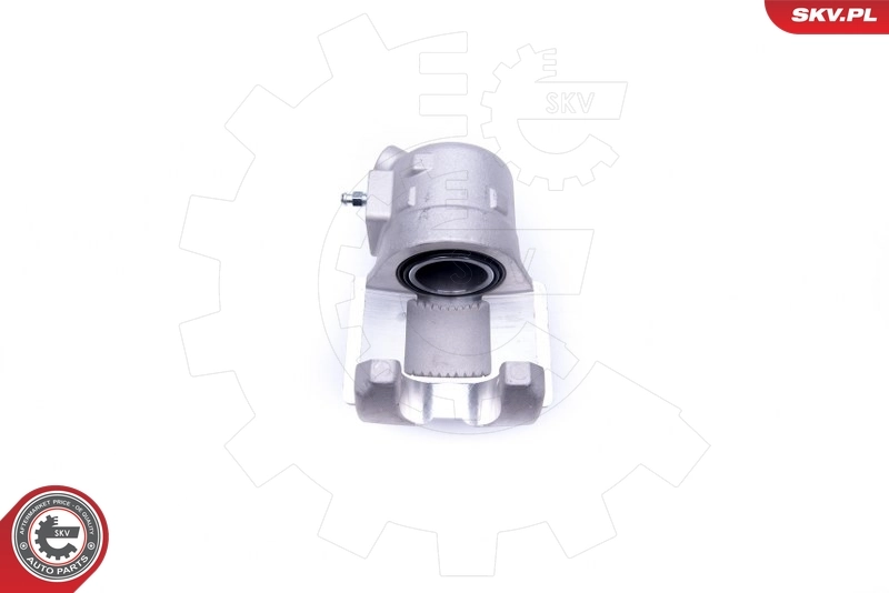 Brake Caliper 42SKV671
