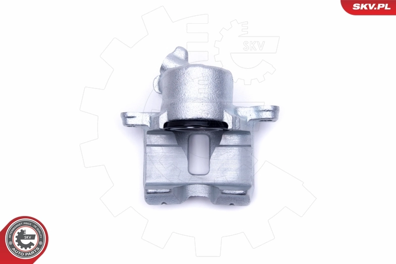 Brake Caliper 50SKV451