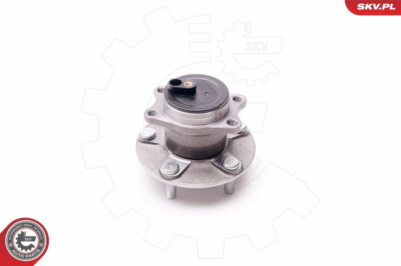 ESEN SKV 29SKV127 Wheel Bearing Kit