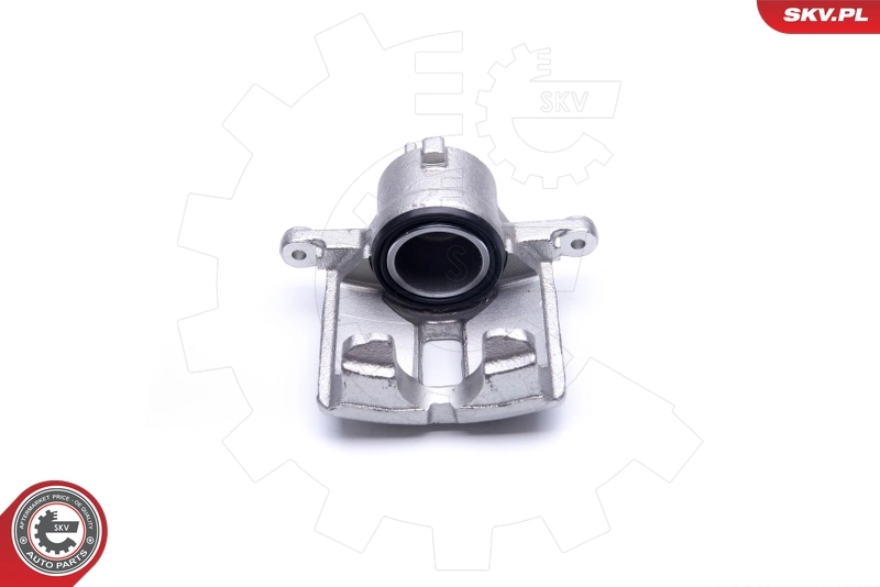 Brake Caliper 23SKV496