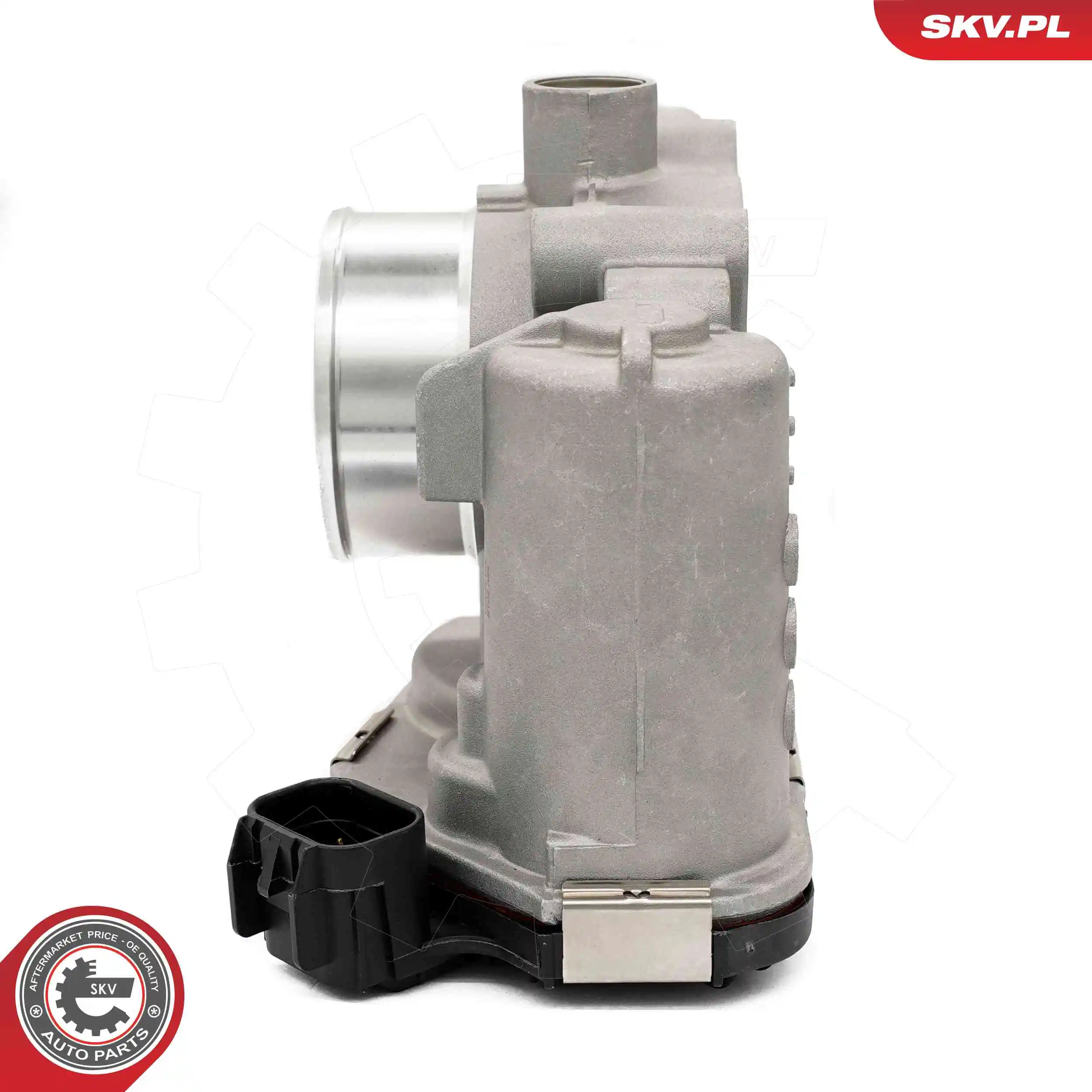 Throttle Body 12SKV135