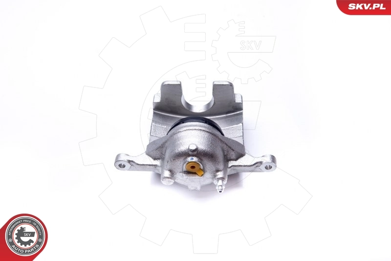 Brake Caliper 42SKV501