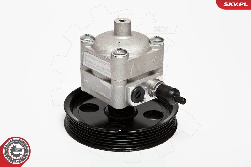 Hydraulic Pump, steering 10SKV092