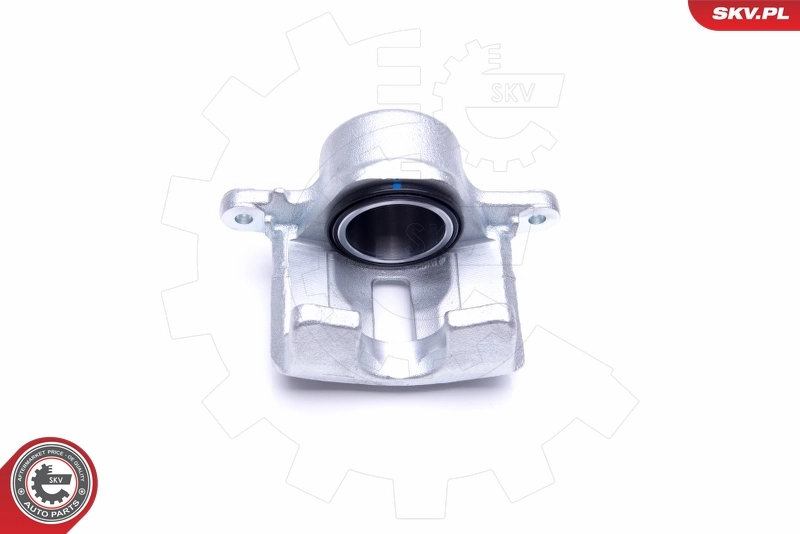 Brake Caliper 50SKV742