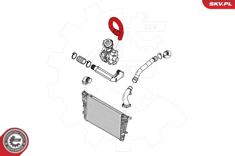 Charge Air Hose 24SKV879