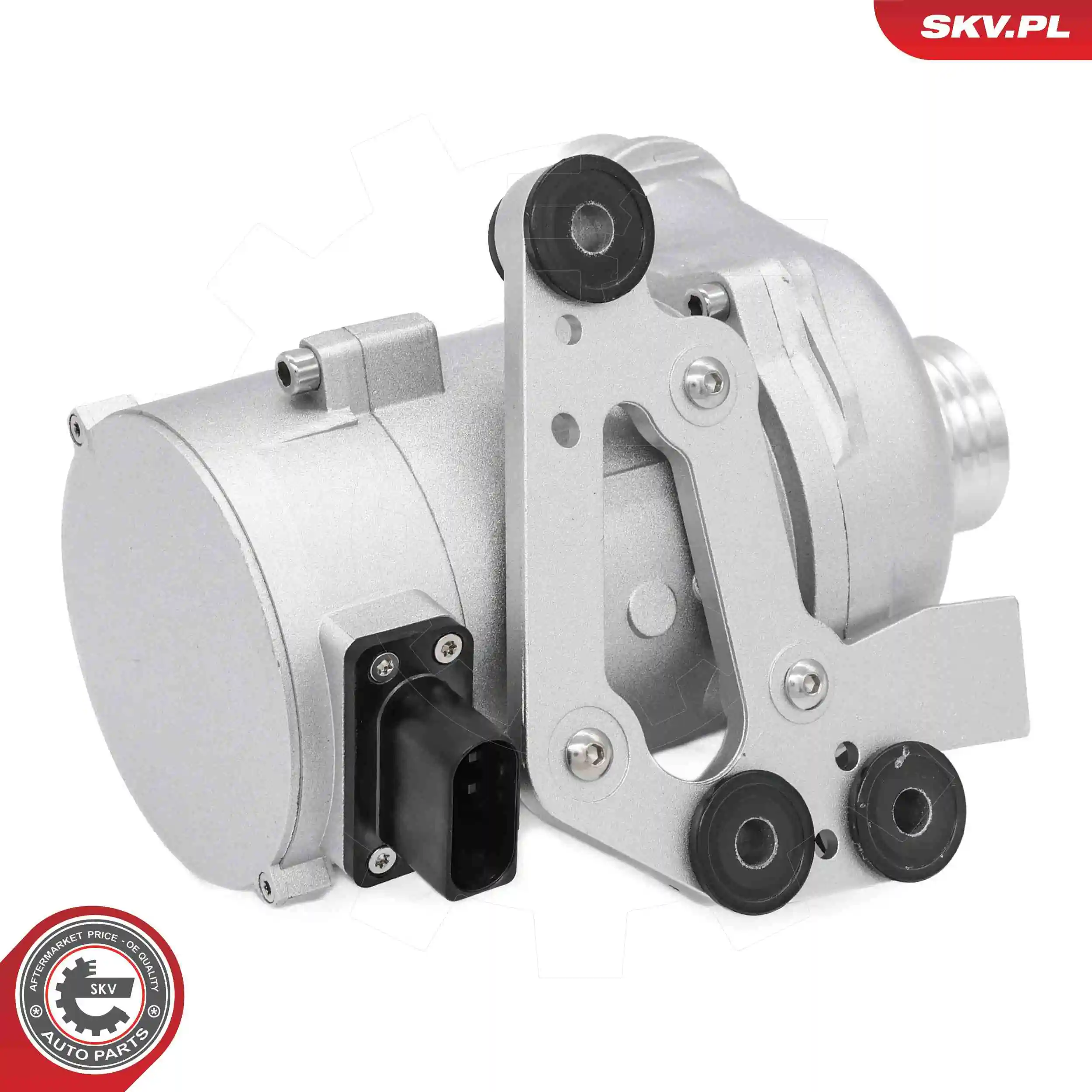 Water Pump, engine cooling 22SKV071