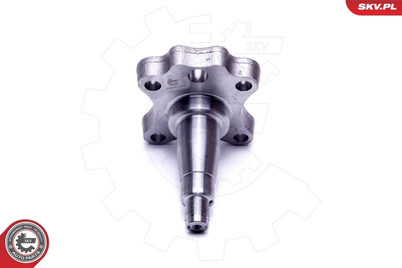 ESEN SKV 29SKV995 Wheel Bearing Kit