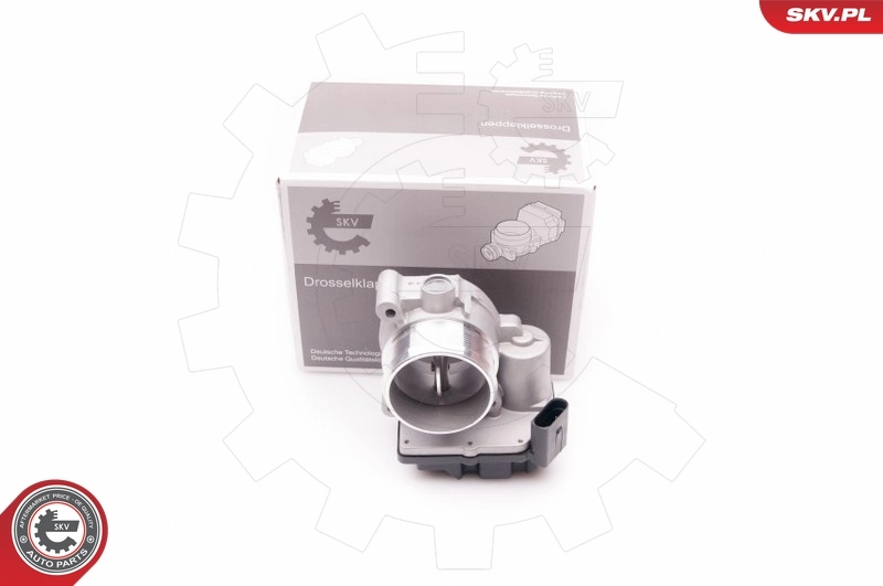Throttle Body 12SKV058