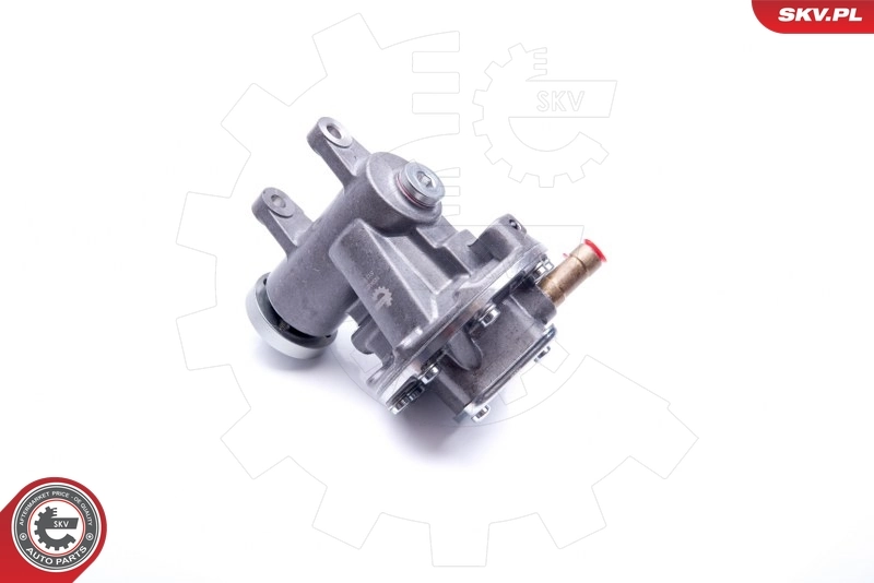 Vacuum Pump, braking system 18SKV019