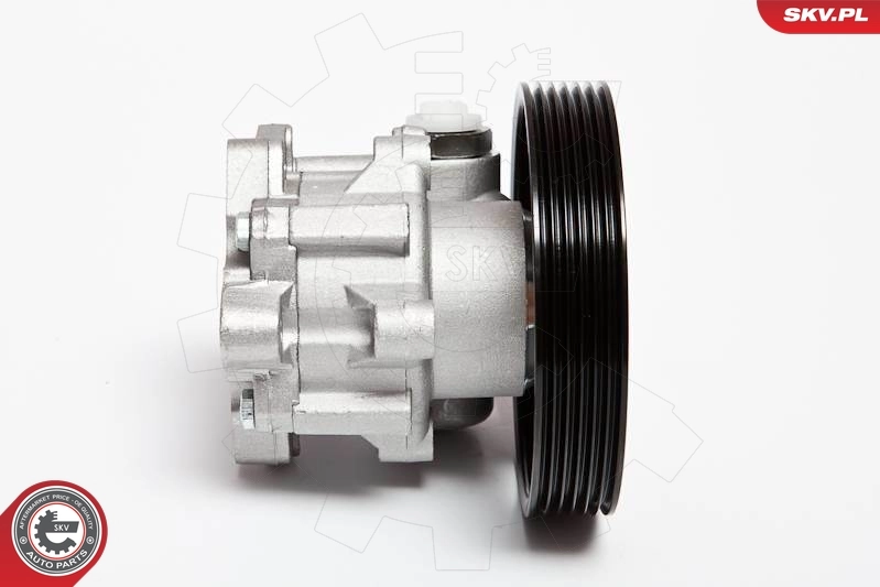 Hydraulic Pump, steering 10SKV023