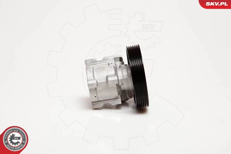 Hydraulic Pump, steering 10SKV031