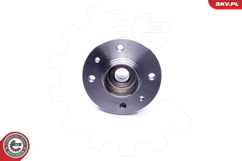 Wheel Bearing Kit 29SKV223