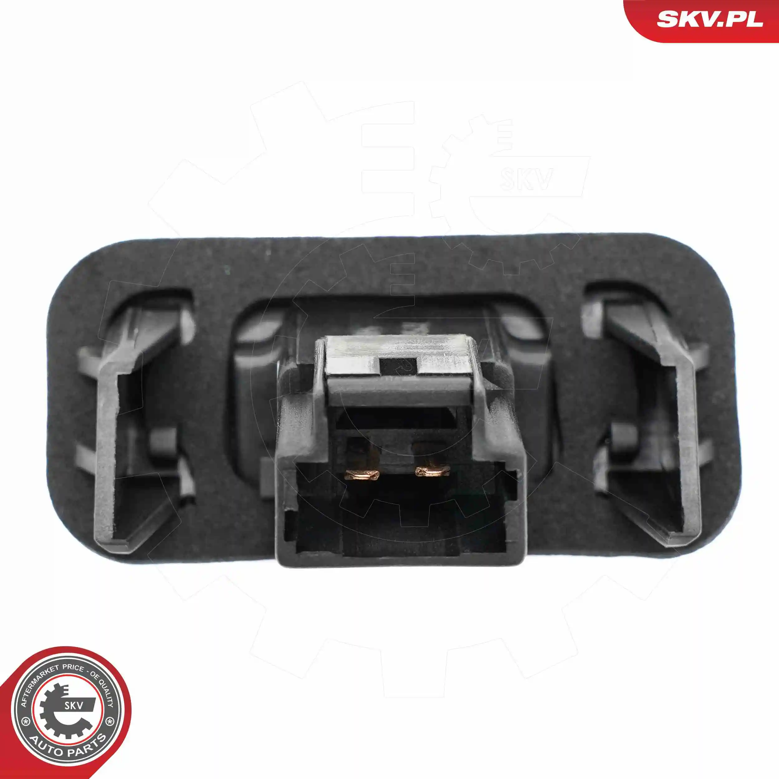 Licence Plate Light 72SKV001