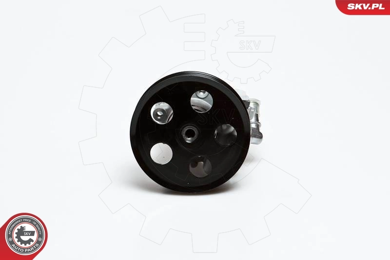 Hydraulic Pump, steering 10SKV022