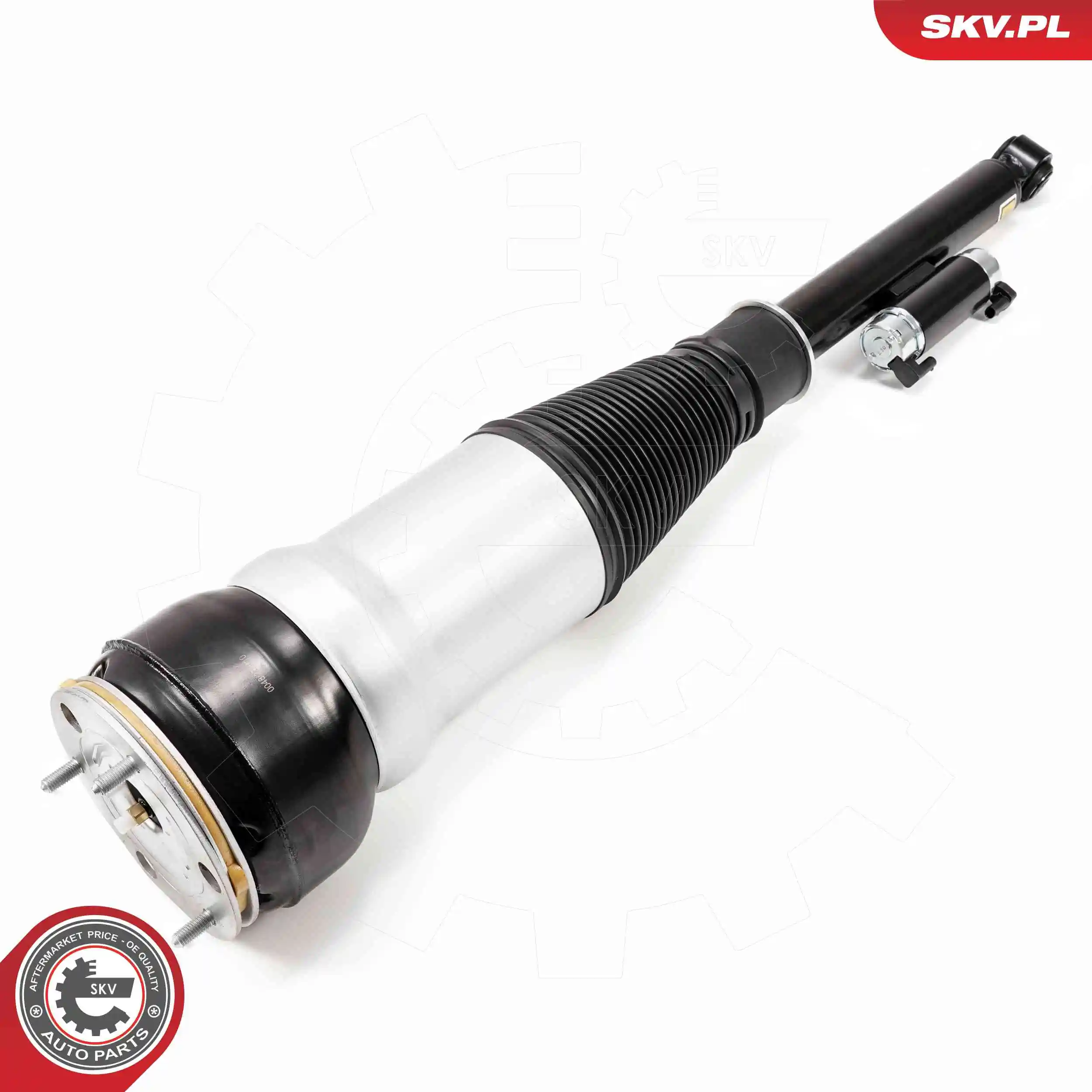 Air Suspension Strut 58SKV725