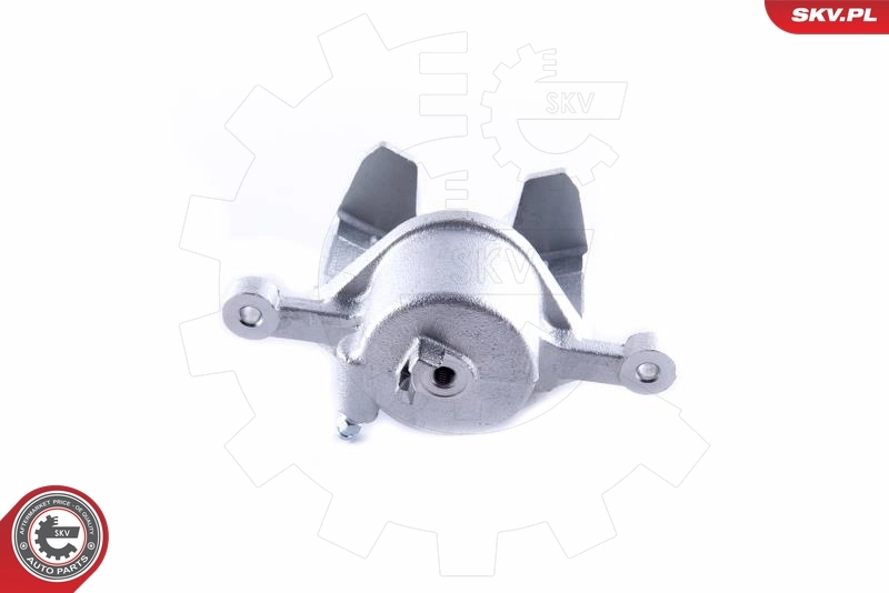 Brake Caliper 55SKV102