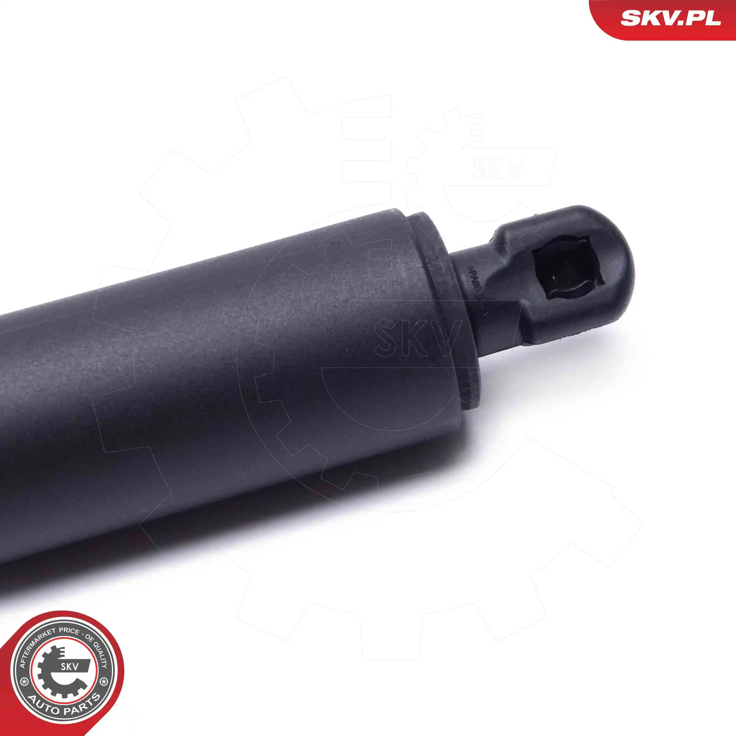 ESEN SKV 52SKV952 Electric Motor, tailgate
