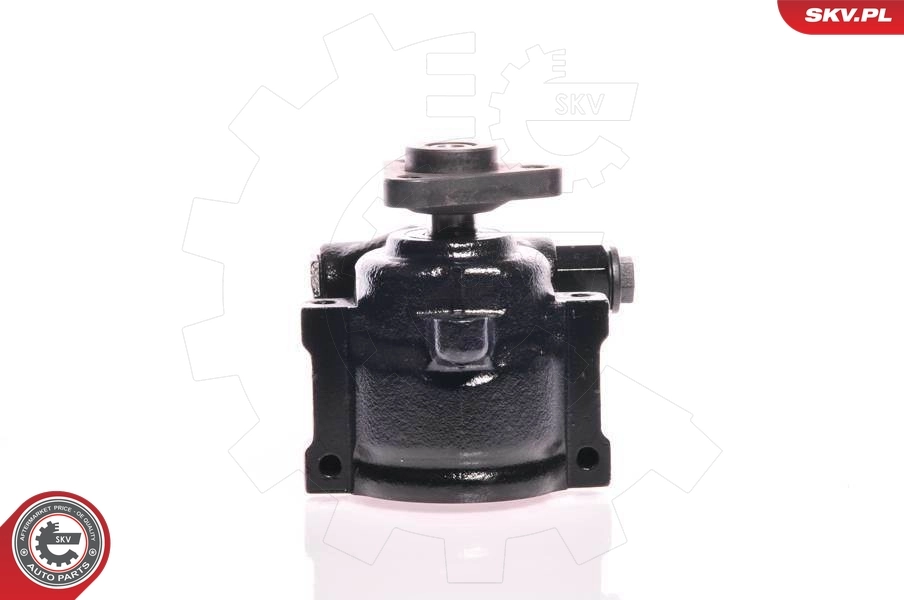 Hydraulic Pump, steering 10SKV175