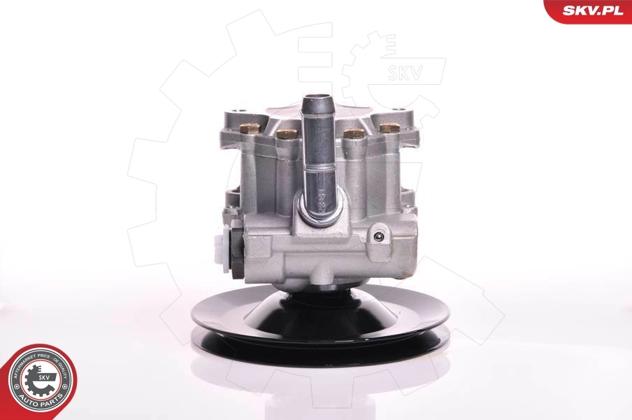 Hydraulic Pump, steering 10SKV169