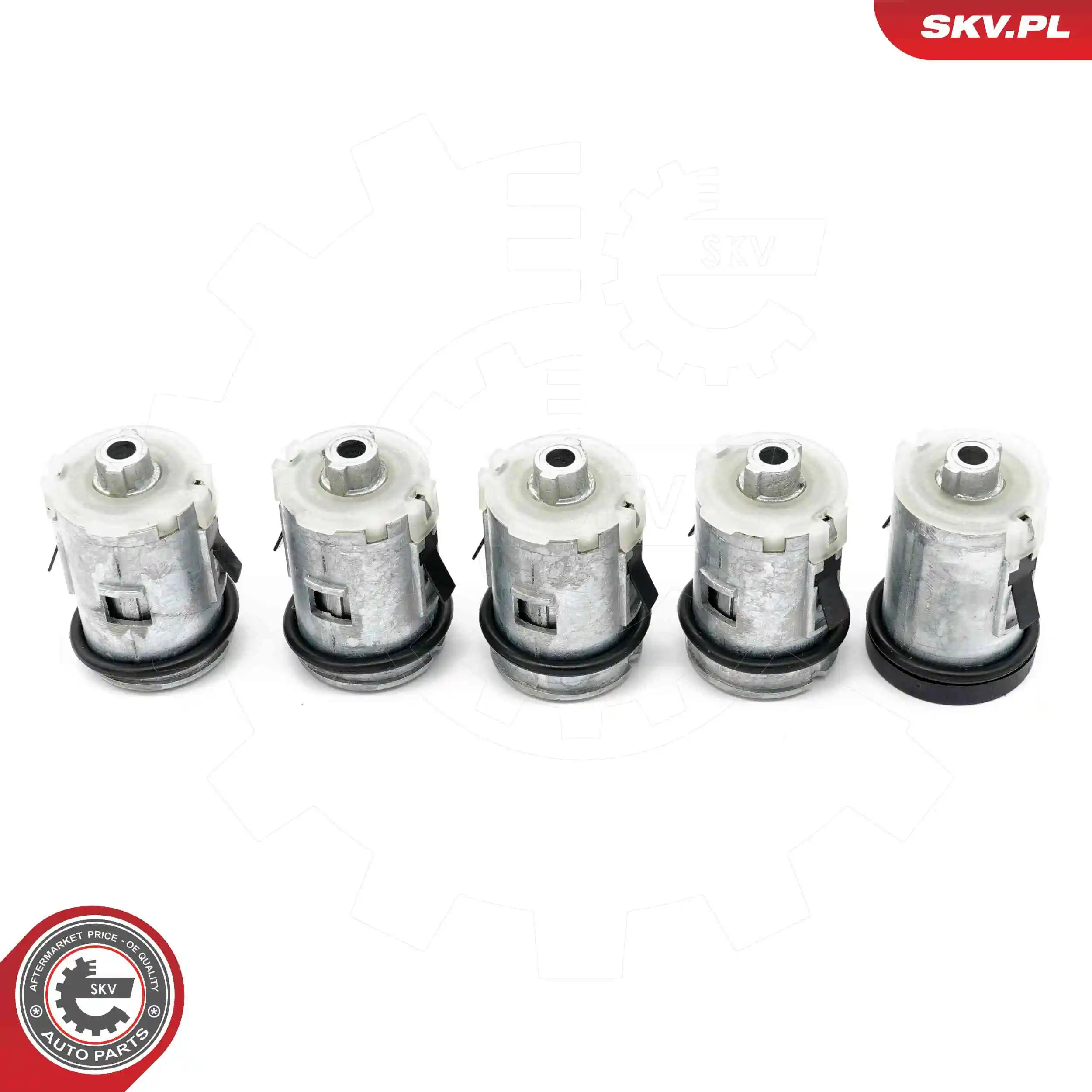 ESEN SKV 65SKV803 Lock Set, locking system