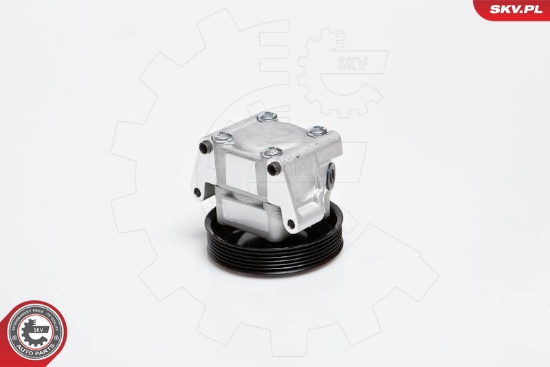 Hydraulic Pump, steering 10SKV091