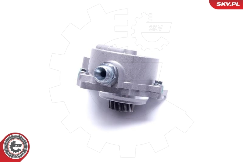 Vacuum Pump, braking system 18SKV028