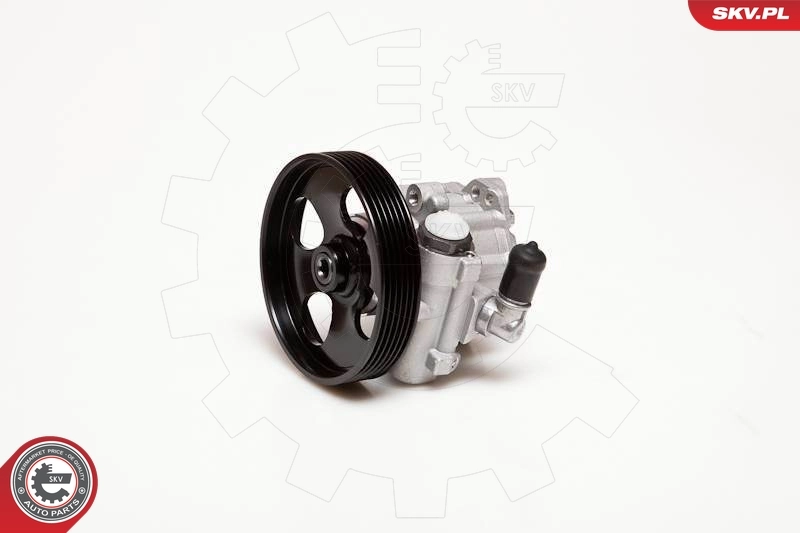 Hydraulic Pump, steering 10SKV100