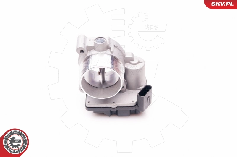 Throttle Body 12SKV058